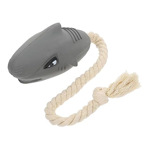 NOLITOY 1 Pc Juguetes para Masticar Mascotas Juguetes De Piscina para Perros Perro Molar Juguete Juguetes Molares Cachorro Interactivo Teething Toys Caucho Cuidado Bola De Perro