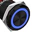 Black Shell-Blue