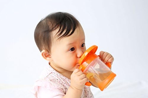 ピジョン ベビー飲料 イオン飲料 R 500ml ピジョン ベビー飲料 イオン飲料 R 500ml