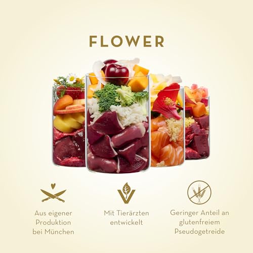 Terra Canis Rind mit Erdäpfeln, Marille und Bergkräutern - Flower Menü Alpenblüte Nassfutter 6x400g | Premium Hundefutter in 100% Lebensmittelqualität Aller Rohstoffe | Reichhaltig & gesund
