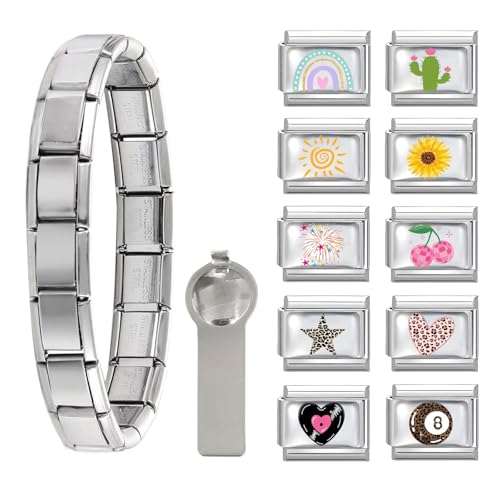 papasgix Italian Charm Bracelet Set with Starter Brascelet, Assorted Charms and Opening Tools, 9mm Modular Italian Charm Bracelet Links Handmade DIY Jewelry Gifts Animals