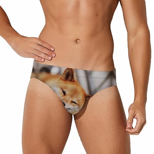 Bañador de arcoíris para hombre: pantalones cortos deportivos de surf y playa