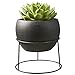 Doniczka na sukulenty z półką czarny cement kaktus donice podniesiona beton donica pojemnik na kwiaty skrzynki na rośliny domowe ogród dekoracyjne doniczki na sukulenty mała doniczka na kwiaty (C)
