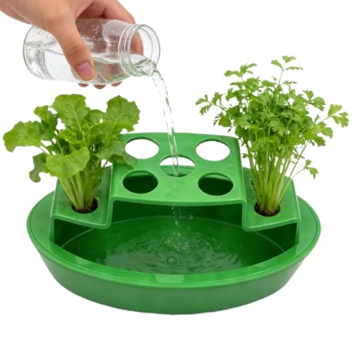 Pot à oignons verts d'intérieur – Pot à légumes – Pot à oignons pour fenêtre – Pour repousser des oignons verts, repousser, rebord de fenêtre, comptoir, balcon (vert)