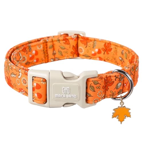 Maca Bates Fall Dog Collar with Maple Leaf Charm for Extra Large Girl and Boy Dogs,Orange Autumn Mushroom Foliage Print,Adjustable Durable Soft Collars for Male Female Puppy with Safety Buckle