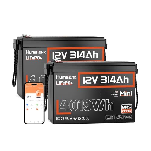 Image of 12V 300Ah (314Ah) LiFePO4 Lithium Battery Max. 4019Wh,15000+ Deep Cycles,200A BMS with Bluetooth,Lithium Iron Phosphate Rechargeable Battery Great for RV, Marine and Off Grid, 2 PACK