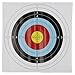 Archery Target Paper Face 40x40cm High Visibility Target Sheet with Multiple Holes for Arrow Bow Practice Indoor Outdoor Sports Training 10 Pack