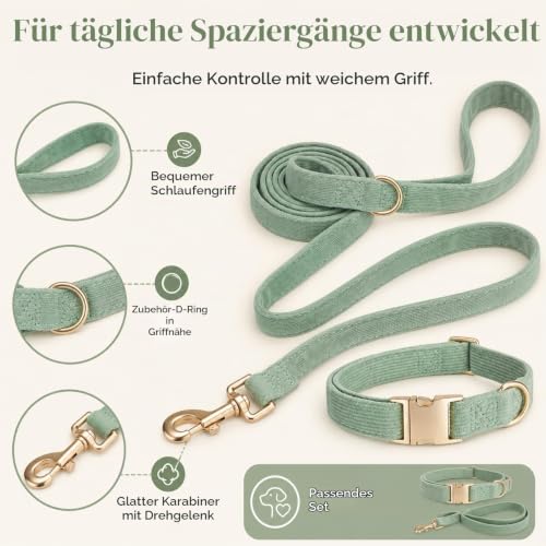 YUDOTE Hundehalsband und Leine Set Klein, Weiche Reizfreie Cord-Halsband-Leine Passende Combo für Den Täglichen Spaziergang, Salbeigrün