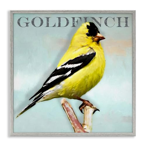 Goldfinch Bird Portrait Rustic, 17 x 17 Inch Framed Giclée Print
