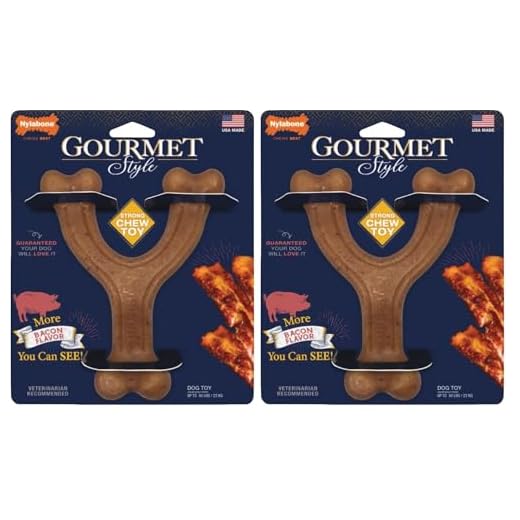 Nylabone Gourmet Style Wishbone Strong Chew Toy for Dogs, Bacon Flavor, Large - Up to 50 lbs, 1 Count (Pack of 2)