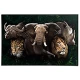 REINDERS Poster, The big five, Wohnzimmer, Poster, 
