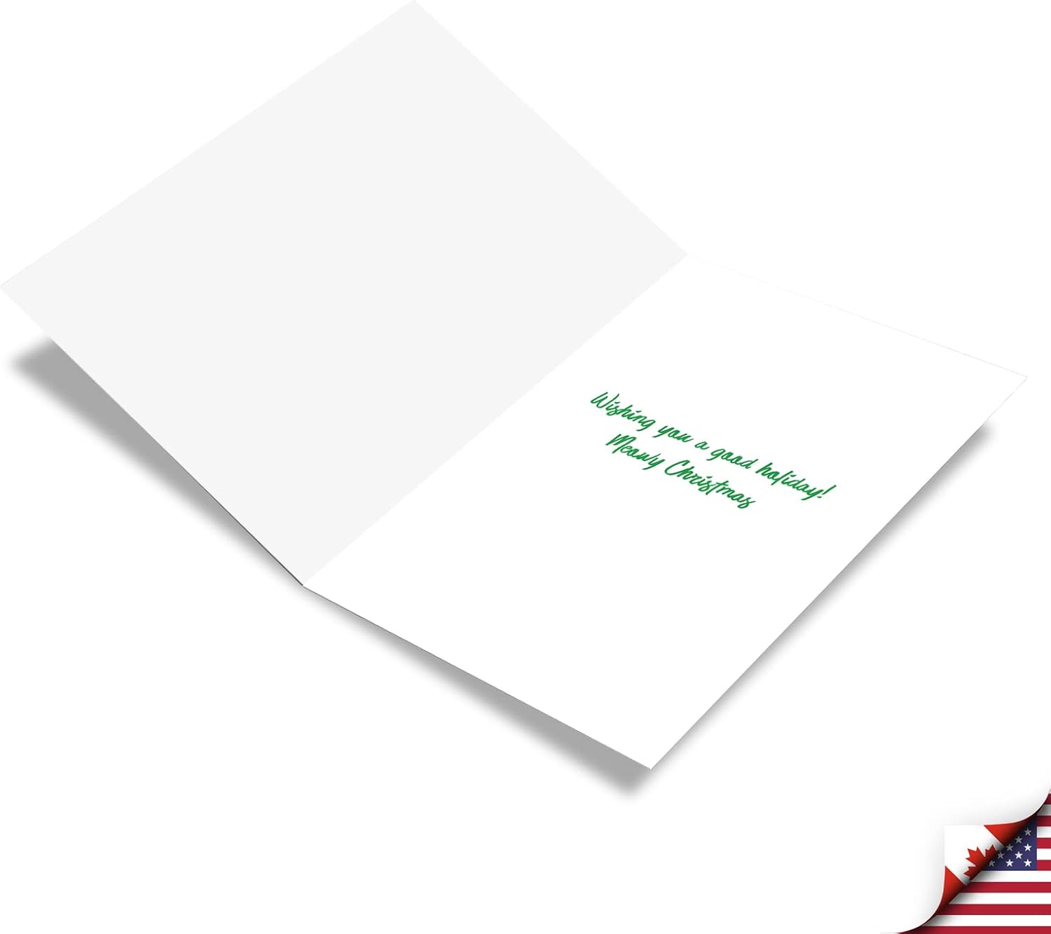 NobleWorks - 12 Funny Animal Christmas Cards - Pet Holiday Humor, Bulk Boxed Notecards with Envelopes (1 Design, 12 Cards) - Cat Naughty List C3481XSG-B12x1