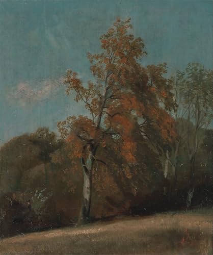 Toile Étude d'un frêne par John Constable 60x90cm pour la décoration d'un salon élégant