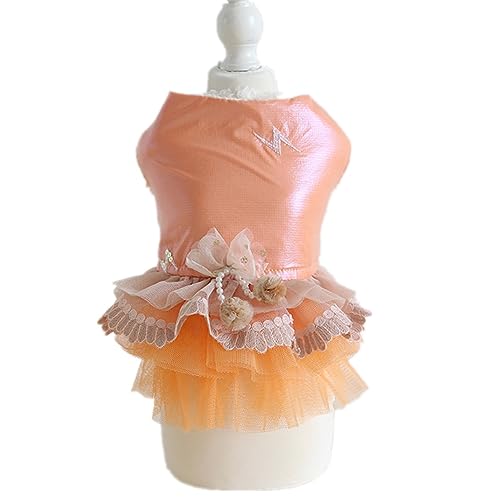   s[X H~ ybg XJ[g hX N hbOEFA `[  h ۉ ^ ^ m ` L P  Ղ  U o (L,IW)