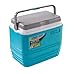 PINNACLE Nevera Portátil con asa de 10 litros