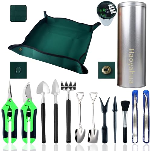 Set de 14 piezas para suculentas con herramientas y tapete impermeable miniatura 1