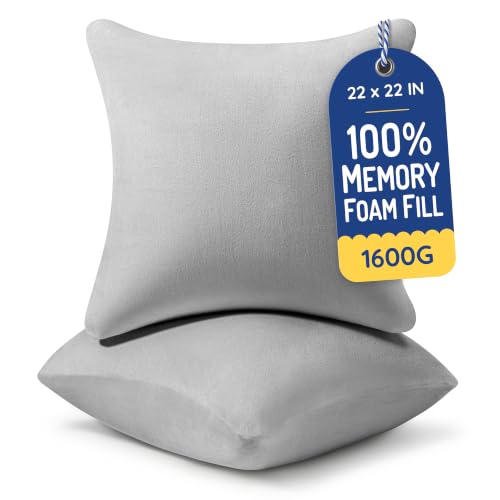 Image of AM AEROMAX 22x22 Memory Foam Throw Pillow Inserts, 2 Pack, Square, Gray