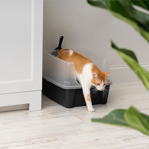 Iris Ohyama Katzenklo mit Schaufel, bis 7 kg, Grau, offen, ohne Deckel, Katzentoilette, hoher Abnehmbarer Rand, Für große Katzen, Kätzchen, Toilet, XXL Toilette, BPA-frei, Cat Litter Box, CLH-12
