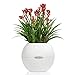 Lechuza Puro Color 20 White, Self-Watering Small Indoor Planter, D7.9 H6.3 in