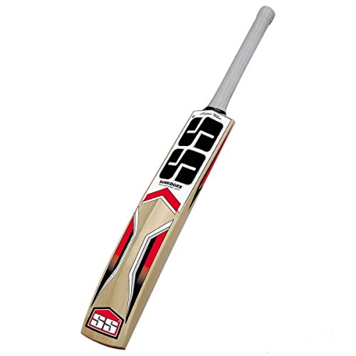 Batte de cricket absorbant les vibrations des balles de cuir lors du choc