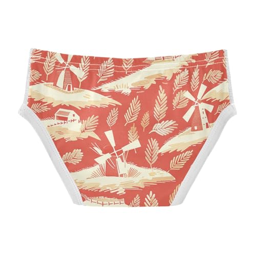 visesunny Boys Cotton Underwear Farm Wheat Field Windmill Pattern Printed Toddler Soft Training Briefs Size 2T-8Y for Kids2