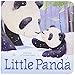 Produktbild Little Panda (Little Animal Friends)