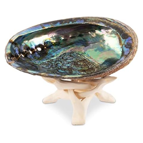 Wish Well Natural Abalone Shell 5.5-6 Inch Large with Wooden Stand - Incense Holder and Sage Smudge Bowl for Cleansing, Smudging, and Meditation - Palo Santo Holder & Beautiful Home Decor Cover