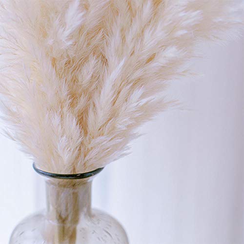 Véritable Herbe de la Pampa, séché naturellement-Mariage Fleur Bouquet de la Tendance pour Le Mariage au favori en intérieur Couleurs Naturelles-5 Herbes de Pampa Blanc cassé_Bourgeon séché Cover