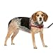 PetSafe Easy Walk Harness, Small/Medium, RED/BLACK for Dogs