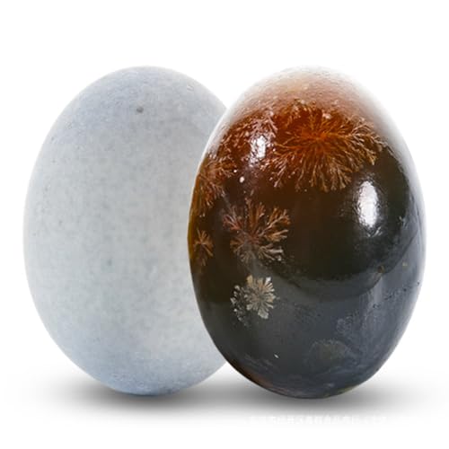 Konservierte Century Eier (6er-Pack) | authentische asiatische Delikatesse | ideal für Frühstück und Beilagen