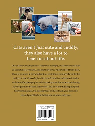 Pawverbs for a Cat Lover's Heart: Inspiring Stories of Feistiness, Friendship, and Fun - Image 2