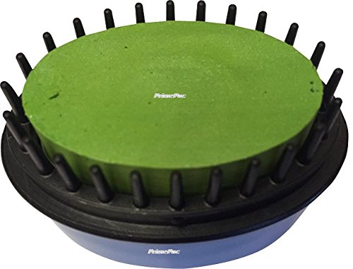 Hair Chalk Comb for Beautiful Salon Hair Highlights. Temporary Hair Color with Applicator. Hair Salon Toy for Green Hair. Paint & Style Hair Care - No Need to Wet Hair. Ready in Minutes.