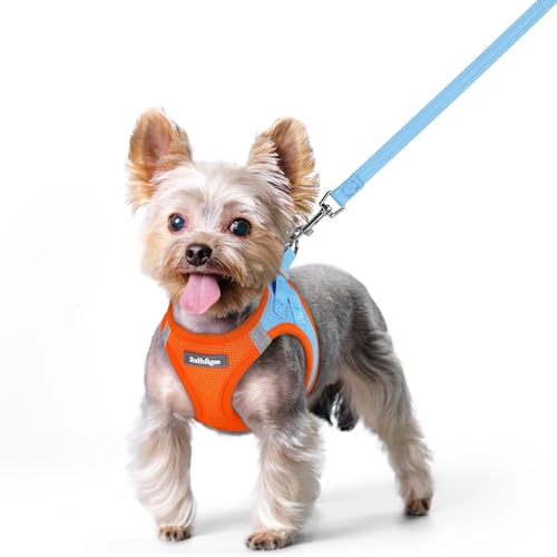 Rabbitgoo Step-In Mesh Harness & Leash Set (Blue & Orange, XS)