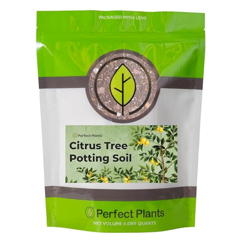 Citrus Tree Potting Soil by Perfect Plants | Organic Premium Mix | Use with Lemon Trees, Lime Trees,...