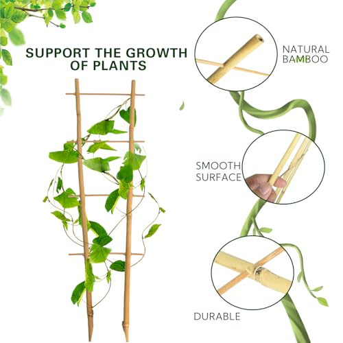 Save 20% on a 3-Pack of Natural Bamboo Plant Trellises - Image 3