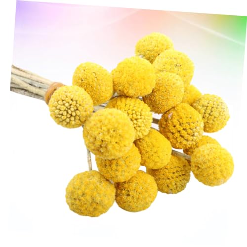Balls de Flores Secas para Decoración 30 Piezas miniatura 6