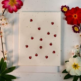 Seeded Paper Eco-Friendly Biodegradable Plantable Seed Card With Envelope - Vegan Ink Print (Ladybird)