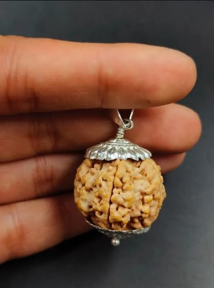 RDESIGN Real & Genuine 5 Mukhi Nepali Rudraksha Original Certified Panch Mukhi Rudraksh 5 Faced Rudraksh Silver Capping Five Mukhi Rudraksham Blessed Kalagni 5 मुखी रुद्राक्ष ओरिजिनल लैब सर्टिफाइड