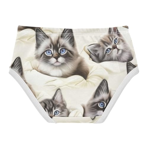 Cute Kittens Cream Toddlers Underwear Floral 2t Cotton Little Girl Panties Fancy Briefs Undies Kids2