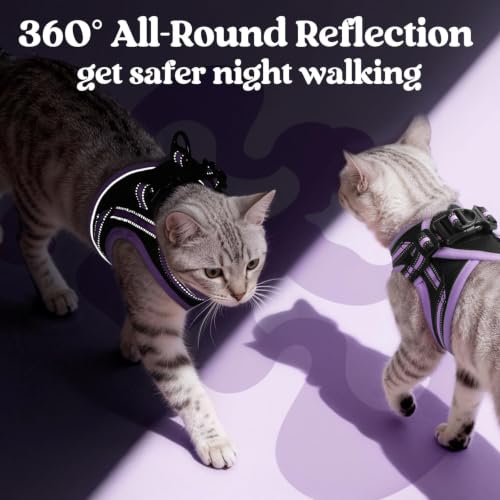 Image of rabbitgoo Cat Harness and Leash Set, Step-in Soft Vest, Black-Light Purple | Escape Proof, Lightweight, Easy-on & Adjustable, Hook & Loop with Buckle, Reflective, for Kittens & Small Cats Walks, S