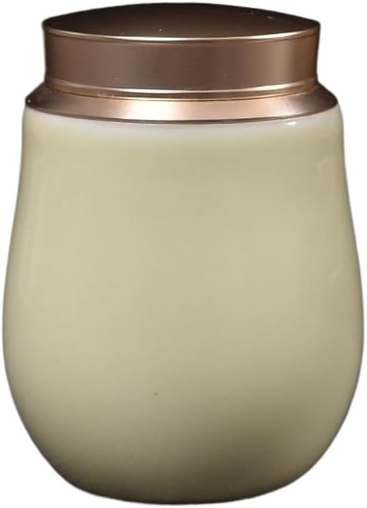 SONGCHAO Sugar Jar Celadon Sealed Tea Can, Travel Portable, Small Warehouse, Ceramic Moisture-Proof Box Tea Canister(B)