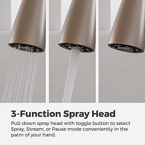 Pfister Kwan Commercial Culinary Kitchen Faucet with Pull Down Sprayer