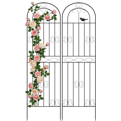 Bamworld Cloture Jardin Exterieur en Metal Anti-Rouille, Treillis et Tuteur Plante Grimpante pour...