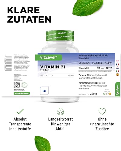 vit4ever Vitamin B1 (Thiamin) - 250 mg - 365 Tabletten - Premium: Thiamin Hydrochlorid - Hohe Bioverfügbarkeit - 12 Monatsvorrat - Ohne unerwünschte Zusätze - Vegan