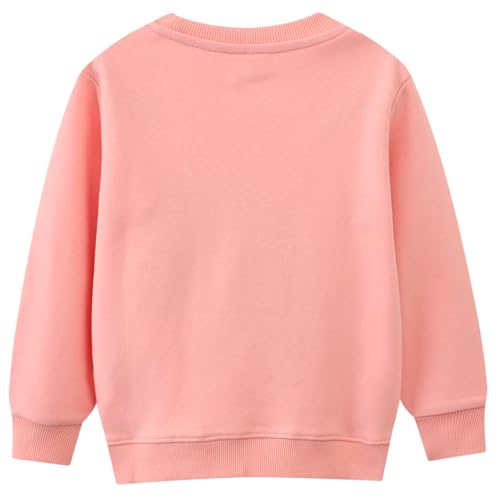 Image of Hongshilian Unisex Kids Cute Cartoon Cotton Sweater Shirt