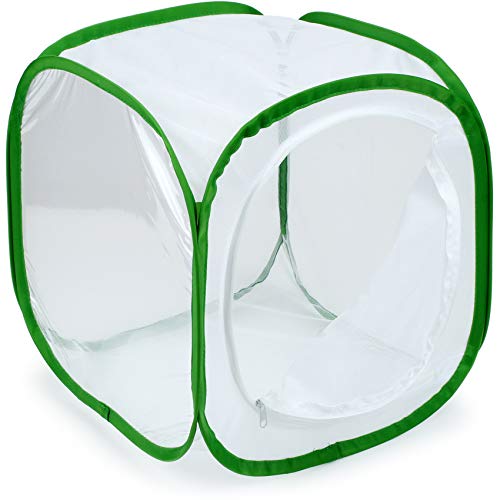 Image of RESTCLOUD Insect and Butterfly Habitat Cage Terrarium Pop-up 12 X 12 X 12 Inches