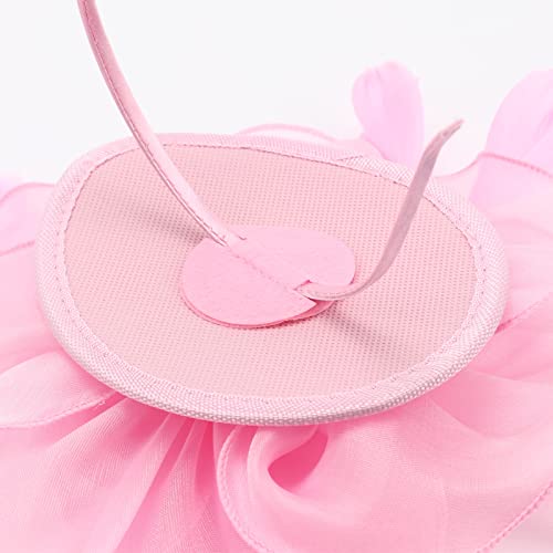 Image of DRESHOW Fascinators Hat Feather Headband Women's Fascinators Tea Party Headwear with Clip Flower Head Band for Girls & Women
