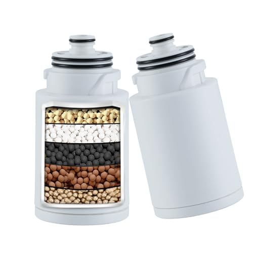 2-Pack Shower Filters for Dual 10