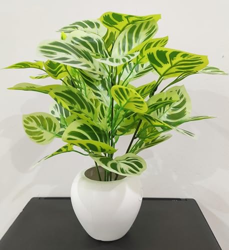 Image of Natural Looking Artificial Money Plant /Tree with Pot | Ornamental Plant for Interior Decor | Home /Shop /Office Decor (Yellow-Green)
