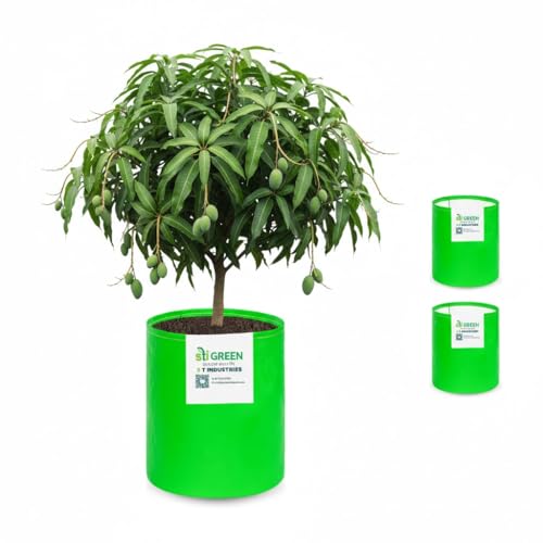 Image of HDPE Grow Bags for Plants 24X36 Inch (Pack of 3) | 260 GSM Heavy Duty UV-Protected Round Green Colour Plant Bags for Terrace and Vegetable Gardening | Strong & Reusable|